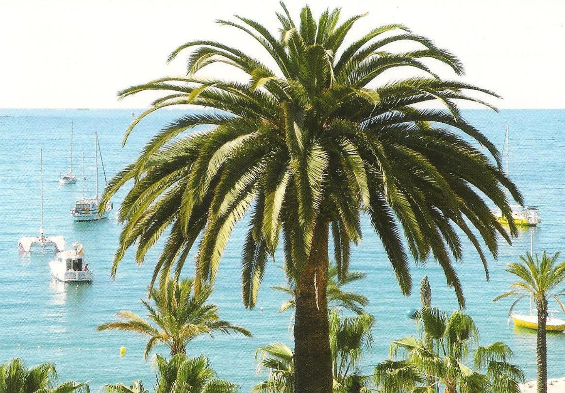 ガイヤックStudio Climatise. Proche Parking, Commerces Et Merアパートメント エクステリア 写真